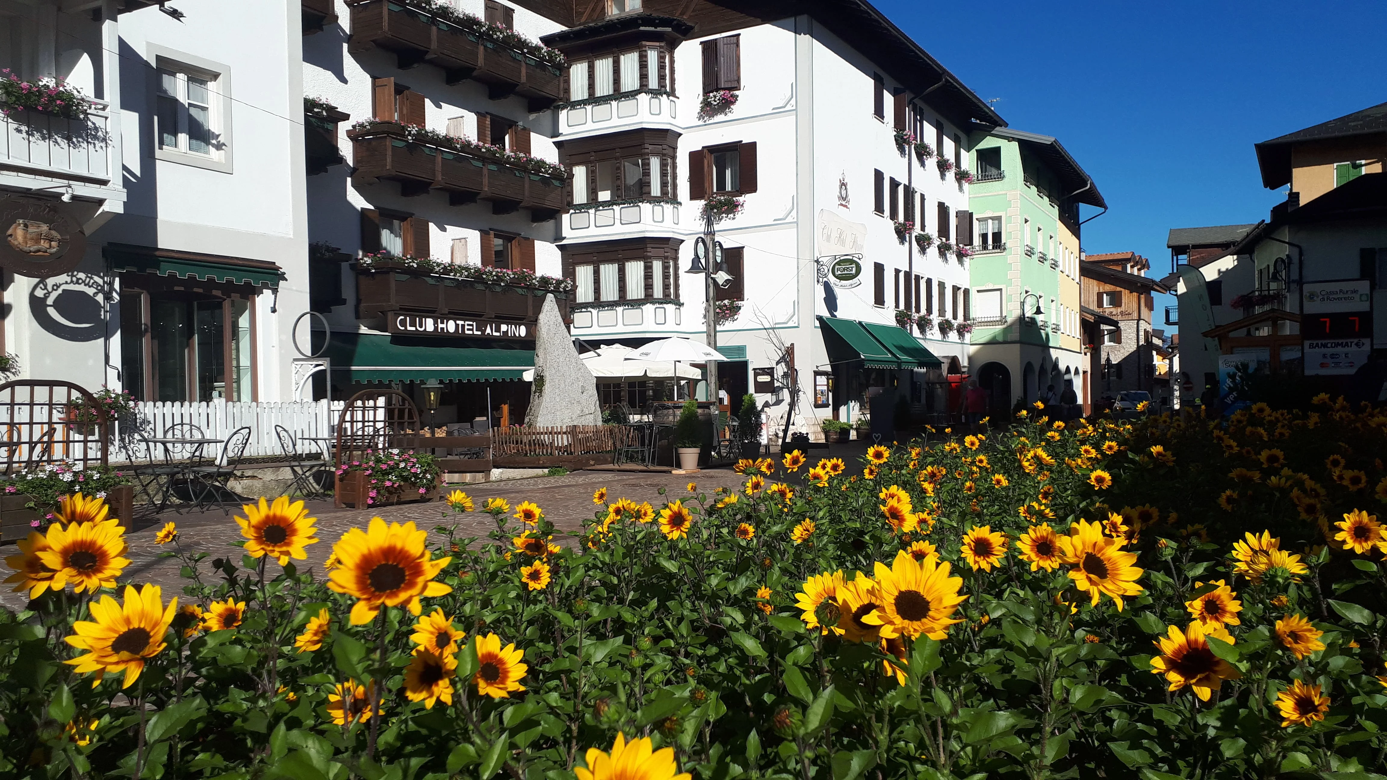 CLUB HOTEL ALPINO