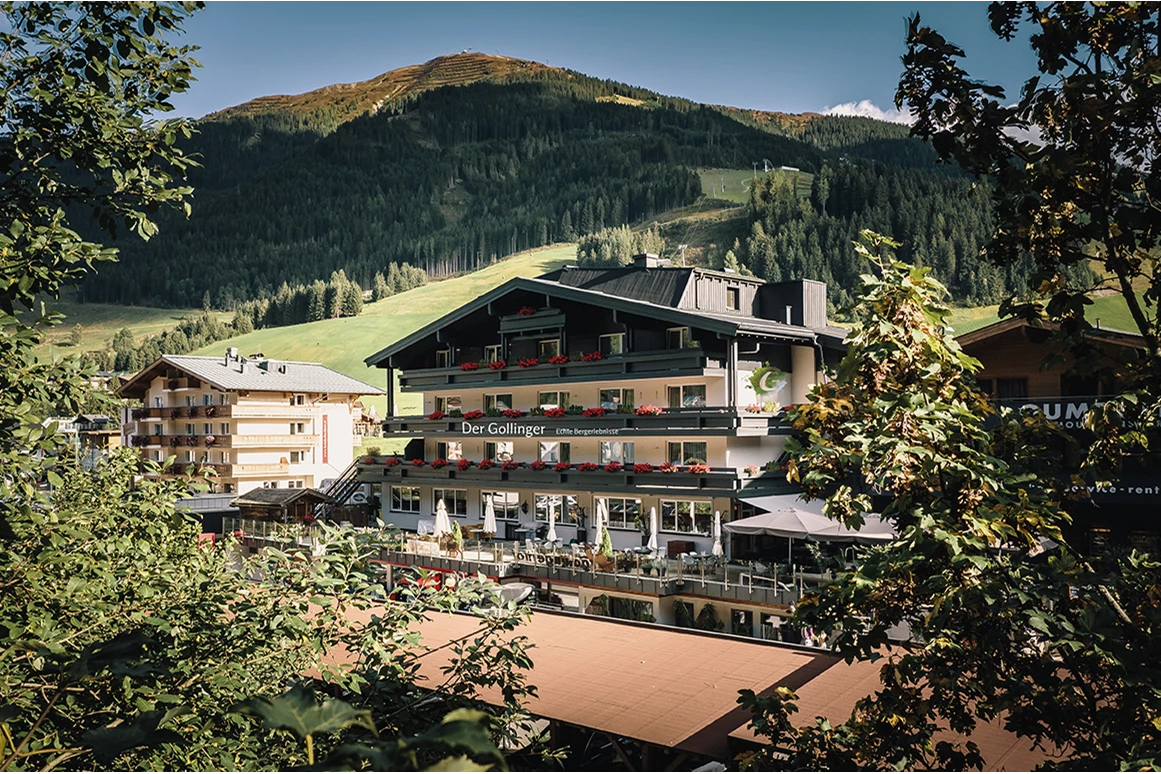 Der Gollinger