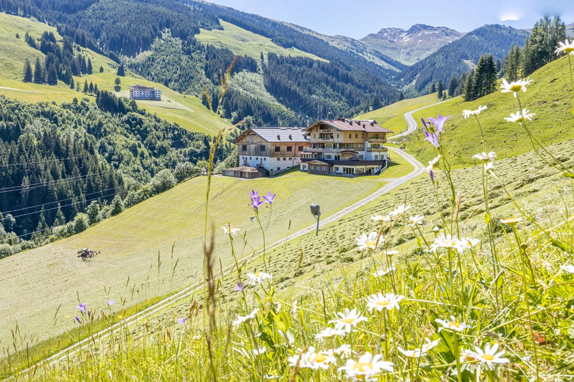 Ferienwohnungen Perfeldhof