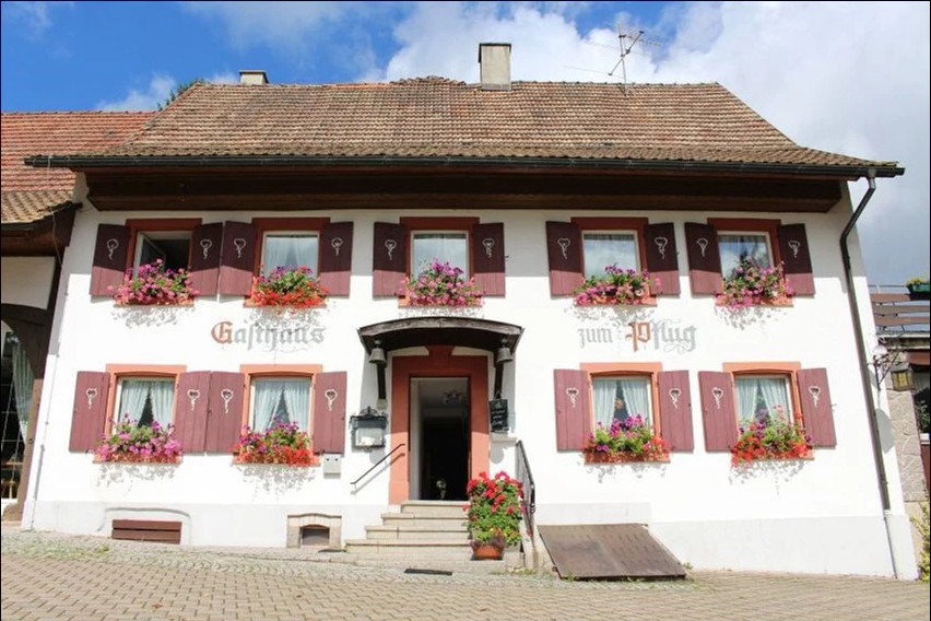 Hotel Landgasthof zum Pflug