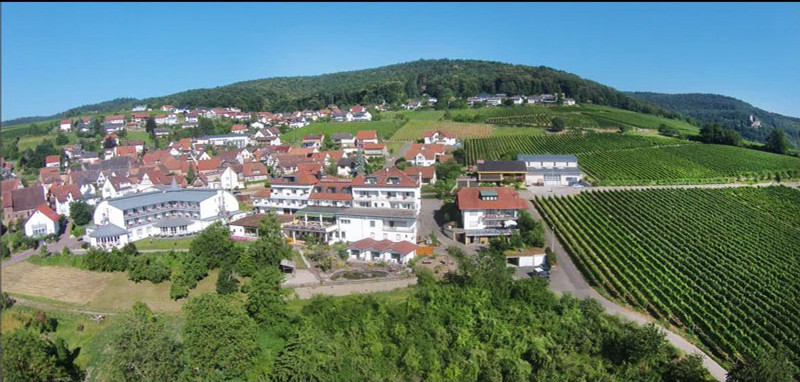 Hotel Südpfalz-Terrassen