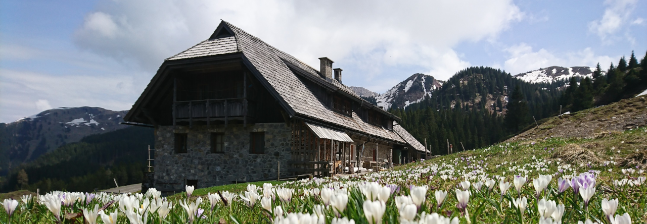 Straniger Alm