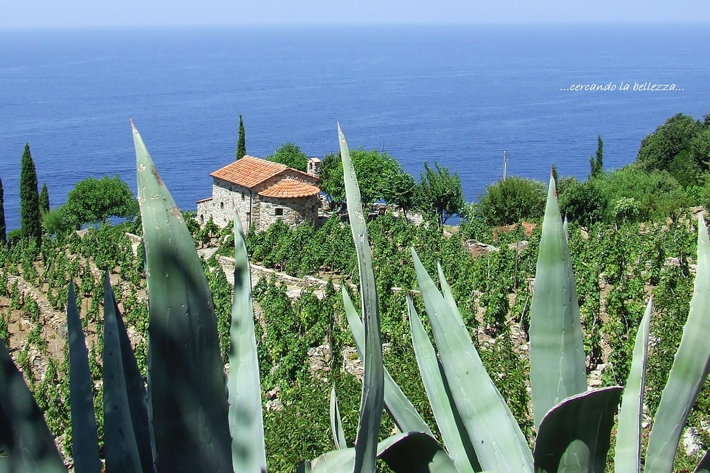 Elba Island