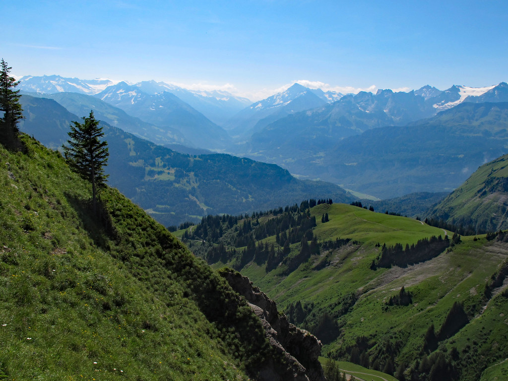 Haslital