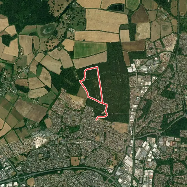 Cross-Country Trails in Basingstoke and Deane