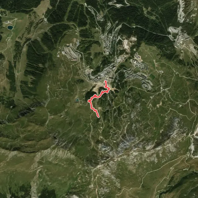 Downhill Trails in La Plagne-Tarentaise
