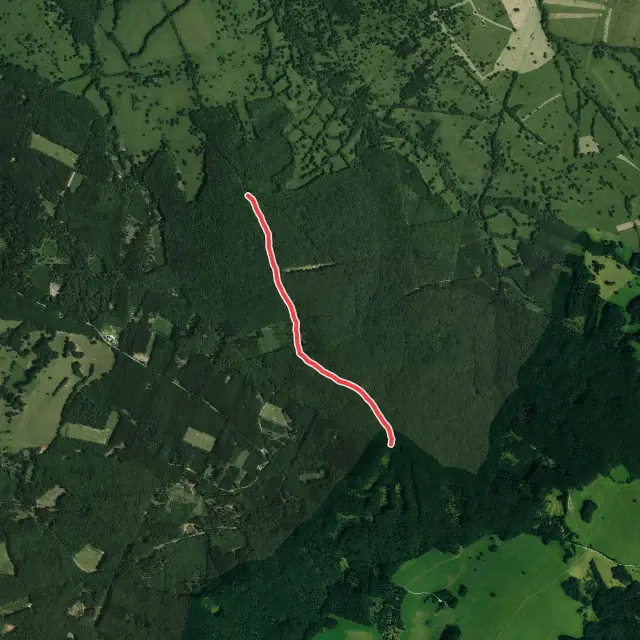 Mountain Biking Trails in South Moravian Region