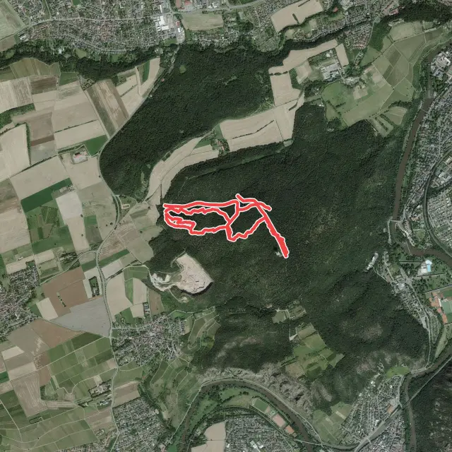 Dachskopf