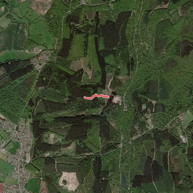 Mountain Biking Trails in Forest of Dean