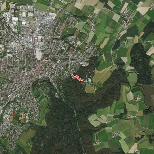 Flowtrail Weingarten