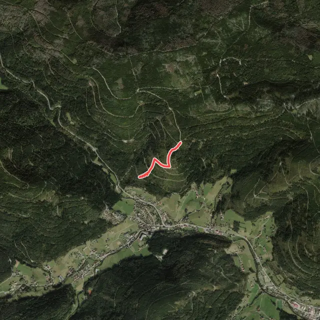 Hirschlach-Trail