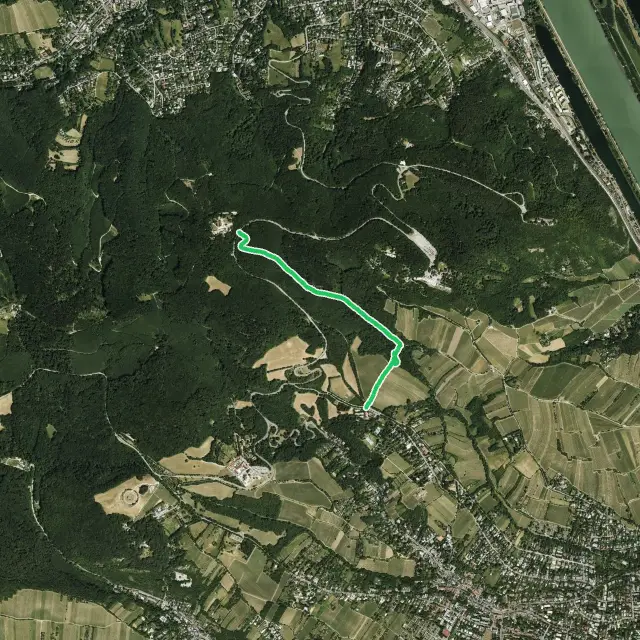 Krapfenwaldl-Uphill