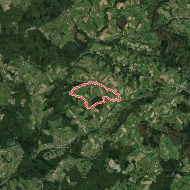Mountain Biking Trails in Grand Est