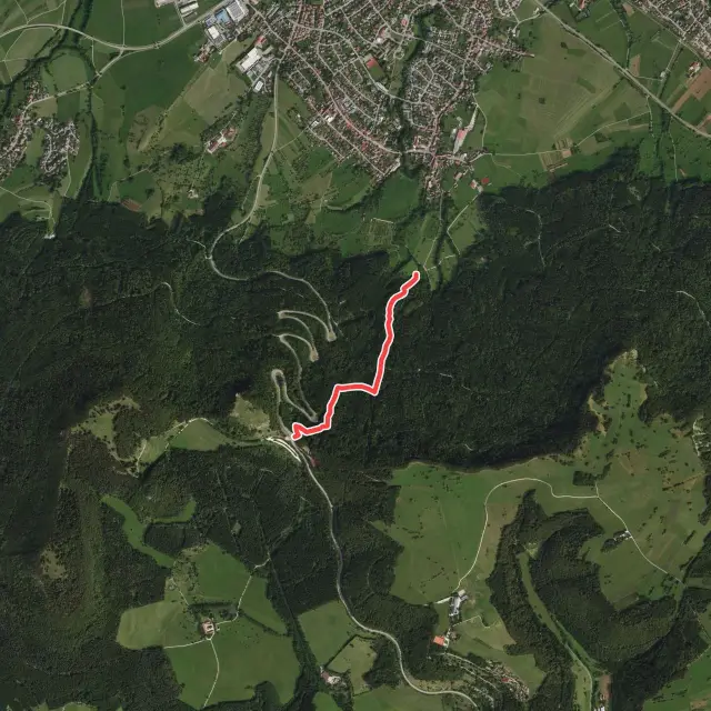 Lochen Trail