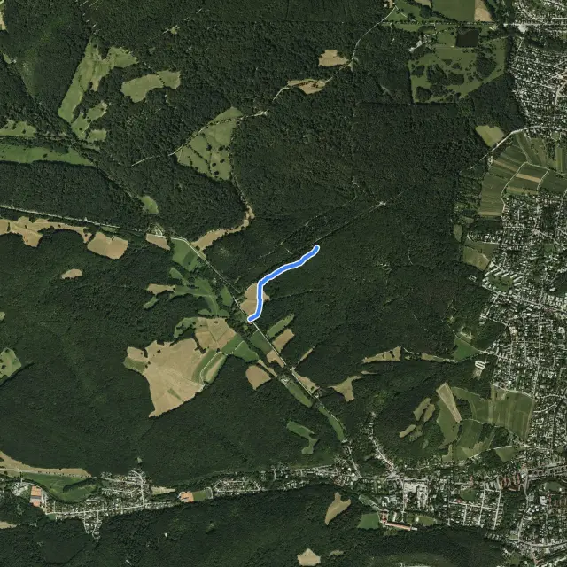 Mauer Wald Flow Trail