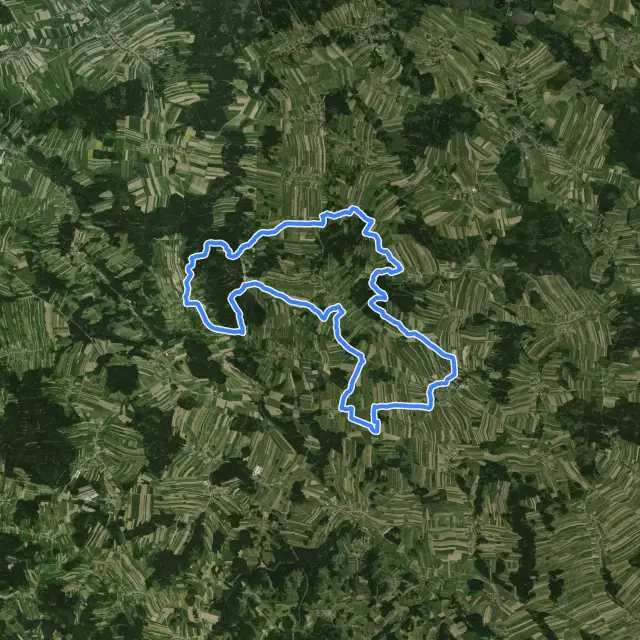 MTB Frauenbichl Strecke