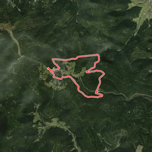 MTB Kniebis-Tour