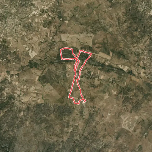 Cross-Country Trails in Castile and León