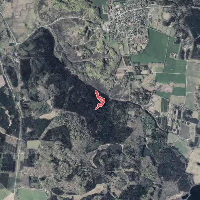 Mountain Biking Trails in North Denmark Region