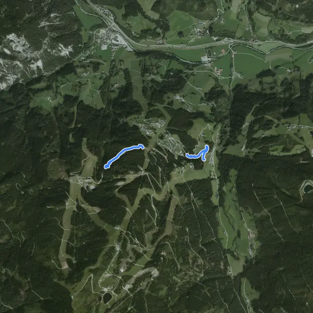 Schnepfenwald Trail