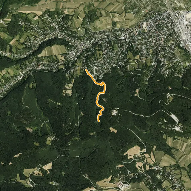 Schönstatt-Trail