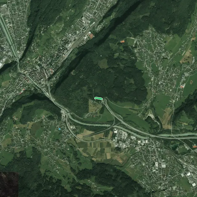 Steinwald