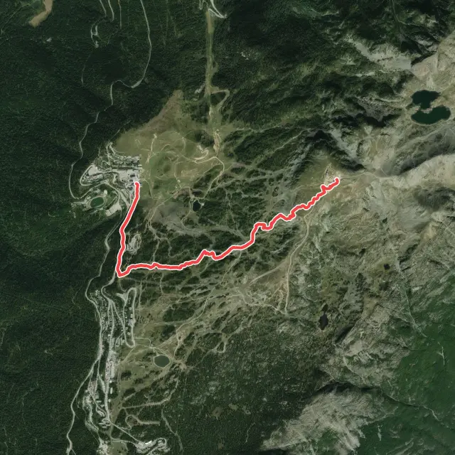 Mountain Biking Trails in Chamrousse
