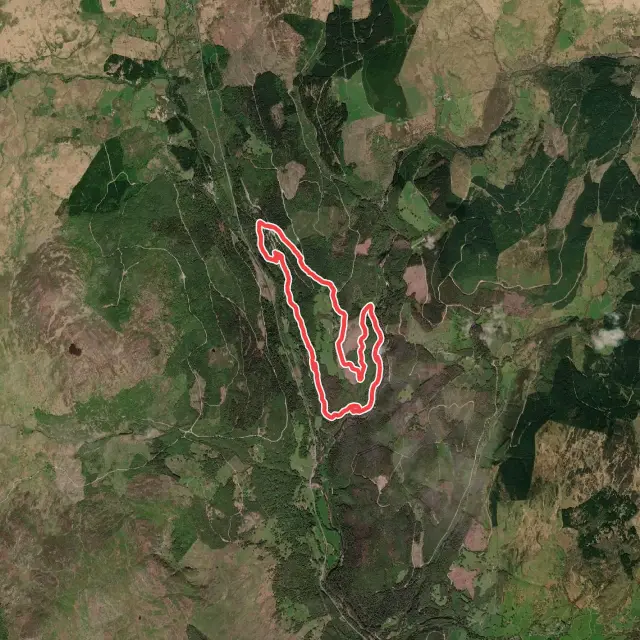 Mountain Biking Trails in Gwynedd