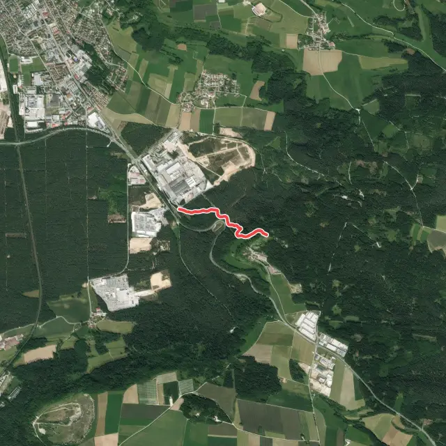The Hunter Trail