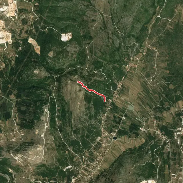 Mountain Biking Trails in Porto de Mós