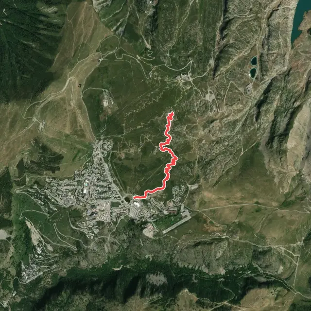 Downhill Trails in Huez