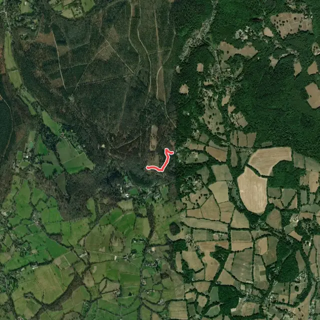 Mountain Biking Trails in Guildford