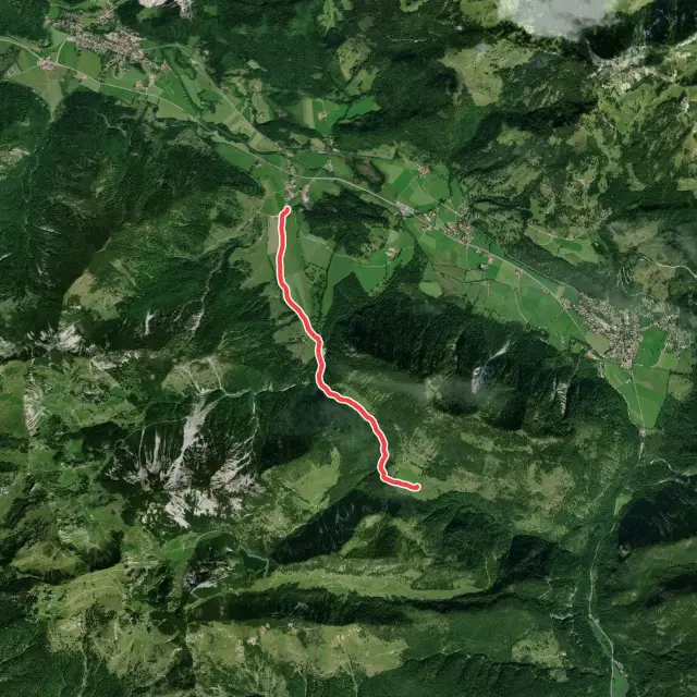 Zur Niederhofer-Alm und zurück